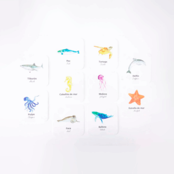 Flashcards Impermeables Animales del Mar