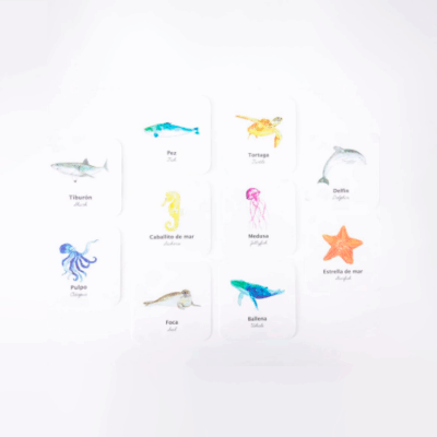Flashcards Impermeables Animales del Mar