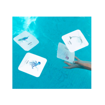 Flashcards Impermeables Animales del Mar