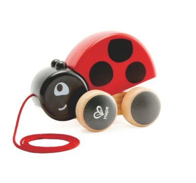 Ladybug Pull Along