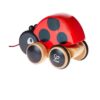 Ladybug Pull Along