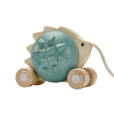 R Pull Along Hedgehog