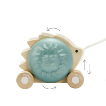 th-11134207-23020-dyixi3ef8zmv18 Pull Along Hedgehog