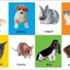 9780312529147.IN01 First 100 animals