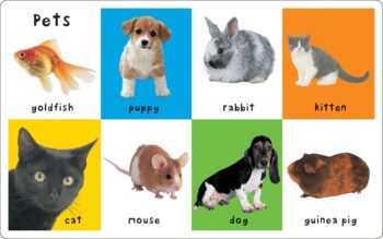 9780312529147.IN01 First 100 animals